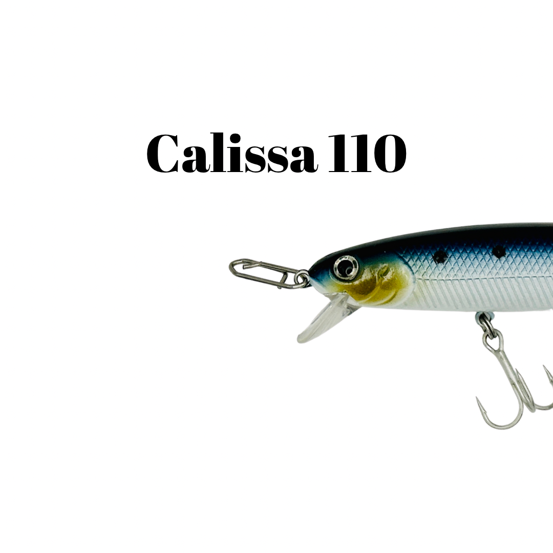 Lure Swap Quick Clips