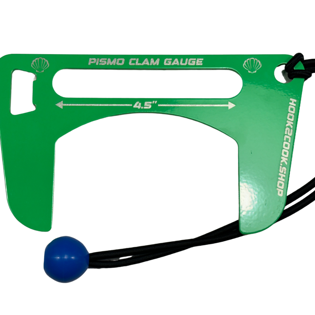 Gauges