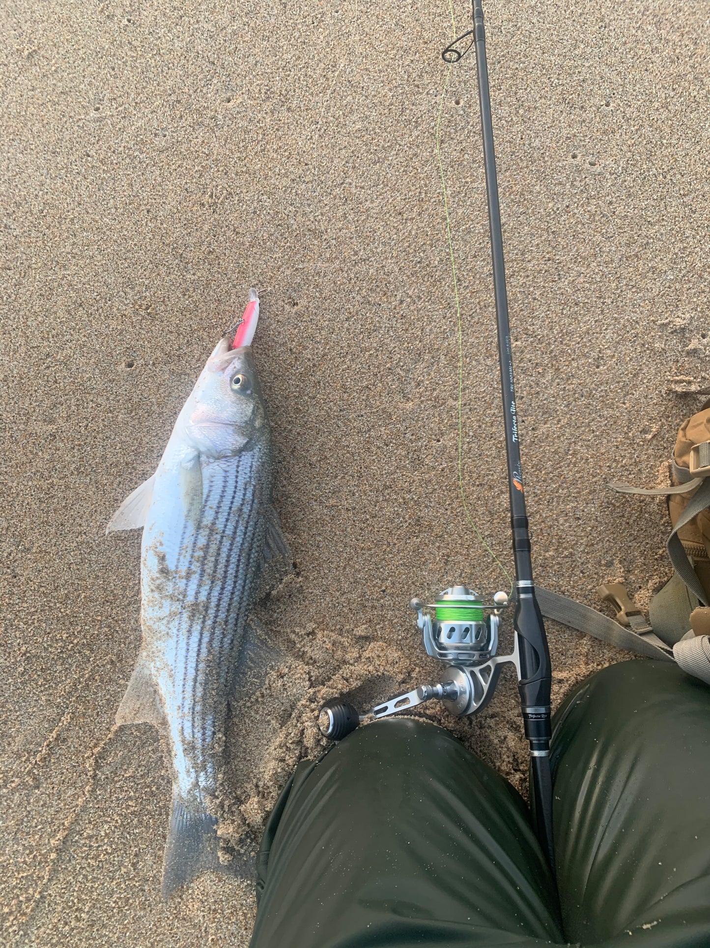CALISSA 110 SURF SUSPENDING MINNOWS