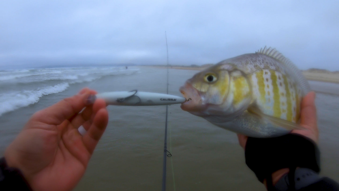 CALISSA 110 SURF SUSPENDING MINNOWS