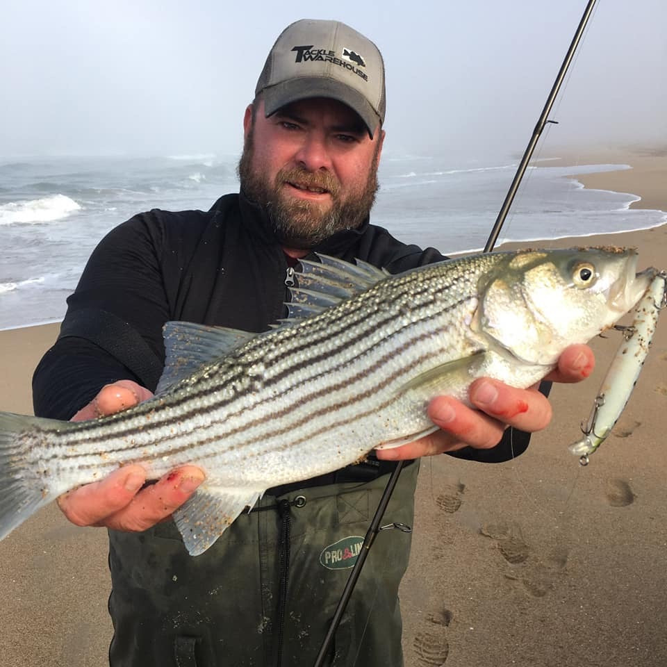 CALISSA 110 SURF SUSPENDING MINNOWS