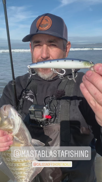 calissa-sardine-glow-1 – MORE THAN FISHING®